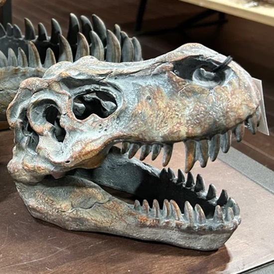 di-fg001-10-1-figurine-tyrannosaurus-rex-skull