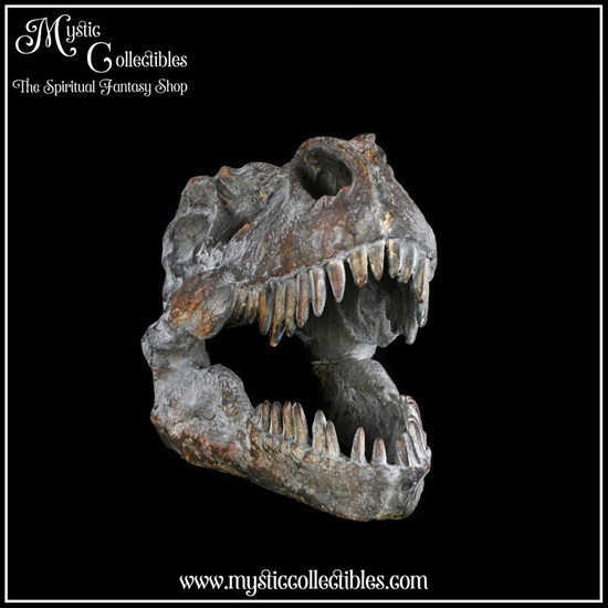 di-fg001-2-figurine-tyrannosaurus-rex-skull