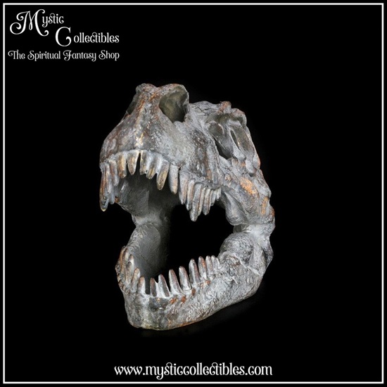 di-fg001-3-figurine-tyrannosaurus-rex-skull