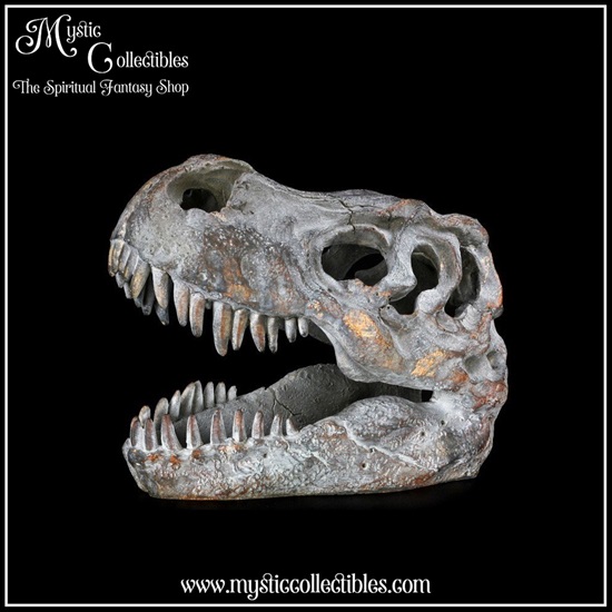 di-fg001-4-figurine-tyrannosaurus-rex-skull