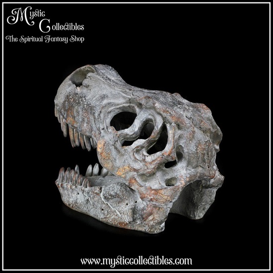 di-fg001-5-figurine-tyrannosaurus-rex-skull