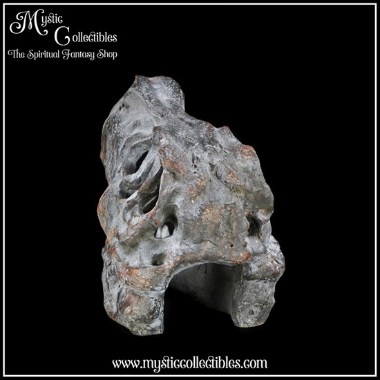 di-fg001-6-figurine-tyrannosaurus-rex-skull