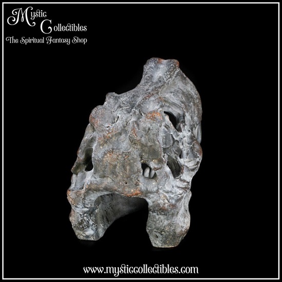 di-fg001-7-figurine-tyrannosaurus-rex-skull