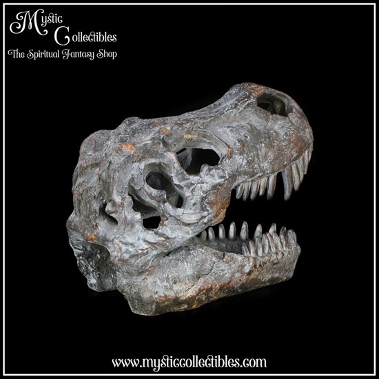 di-fg001-8-figurine-tyrannosaurus-rex-skull
