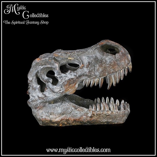 di-fg001-9-figurine-tyrannosaurus-rex-skull