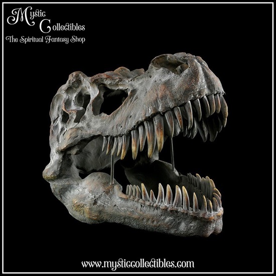 di-wa001-1-wall-decoration-tyrannosaurus-rex-skull