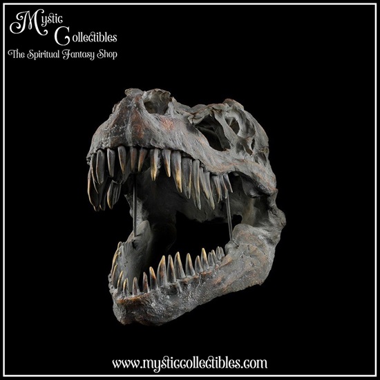 di-wa001-2-wall-decoration-tyrannosaurus-rex-skull