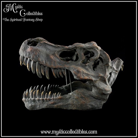di-wa001-3-wall-decoration-tyrannosaurus-rex-skull