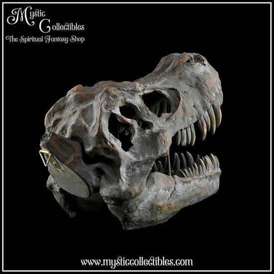 di-wa001-5-wall-decoration-tyrannosaurus-rex-skull