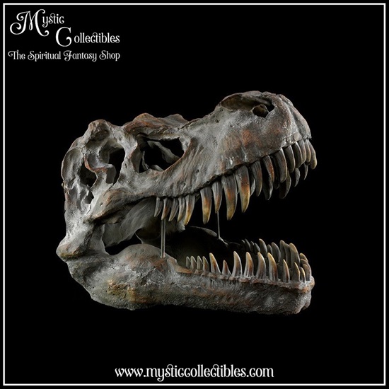 di-wa001-6-wall-decoration-tyrannosaurus-rex-skull
