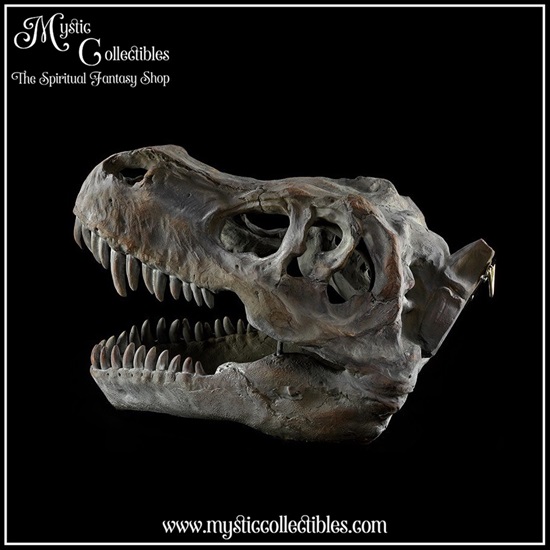 di-wa002-4-wall-decoration-tyrannosaurus-rex-skull