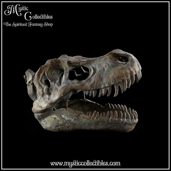 di-wa002-7-wall-decoration-tyrannosaurus-rex-skull