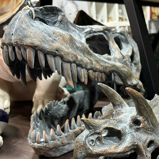 di-wa002-8-wall-decoration-tyrannosaurus-rex-skull