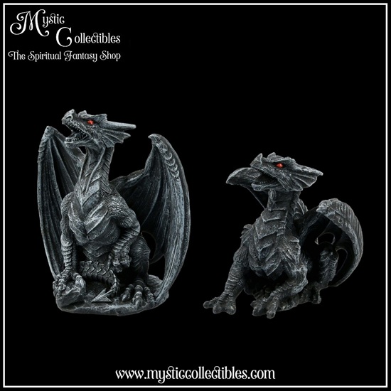 dr-fg004-1-figurines-dark-fury-set-of-2