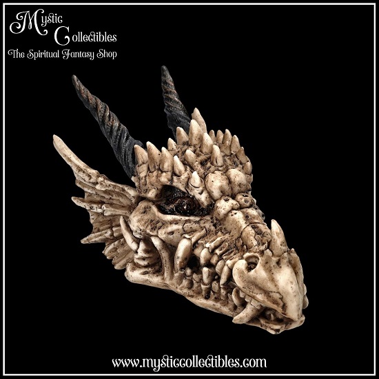 dr-bx002-1-dragon-skull-box