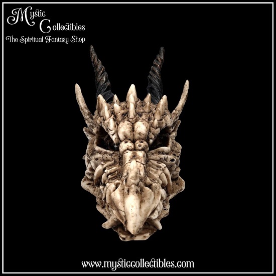 dr-bx002-2-dragon-skull-box