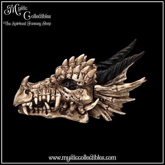 dr-bx002-3-dragon-skull-box