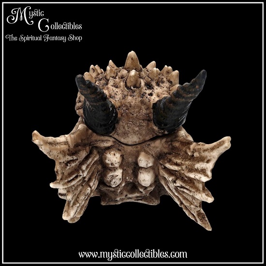 dr-bx002-4-dragon-skull-box