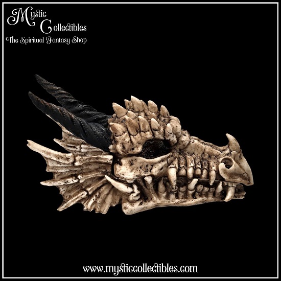 dr-bx002-5-dragon-skull-box