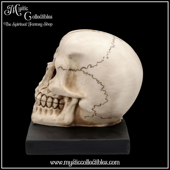 sk-bs002-2-final-chapter-bookends