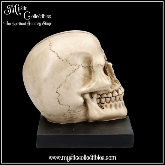 sk-bs002-4-final-chapter-bookends