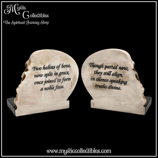 sk-bs002-6-final-chapter-bookends