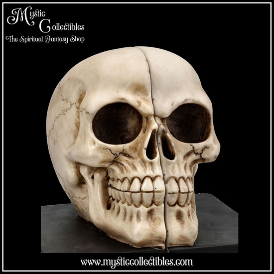 sk-bs002-7-final-chapter-bookends