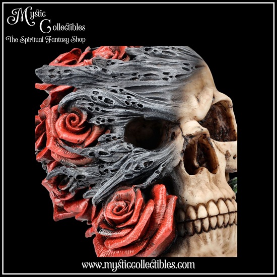sk-sch059-7-skull-figurine-soul-rose