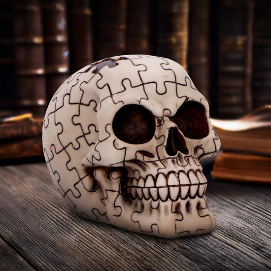sk-sch064-8-skull-figurine-puzzled