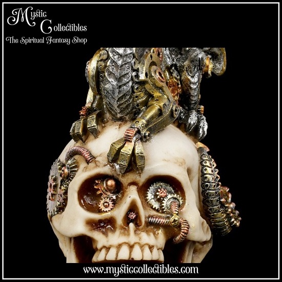 sk-sch066-7-skull-figurine-dragon-s-grasp