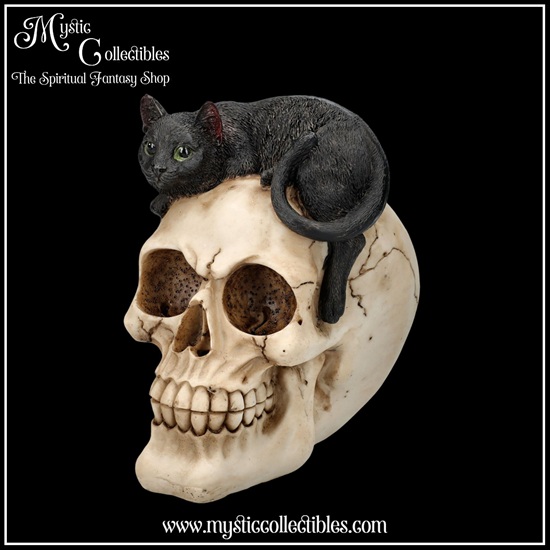 sk-sch072-1-skull-figurine-forever-friend