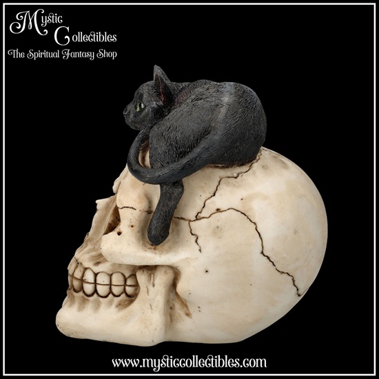 sk-sch072-2-skull-figurine-forever-friend