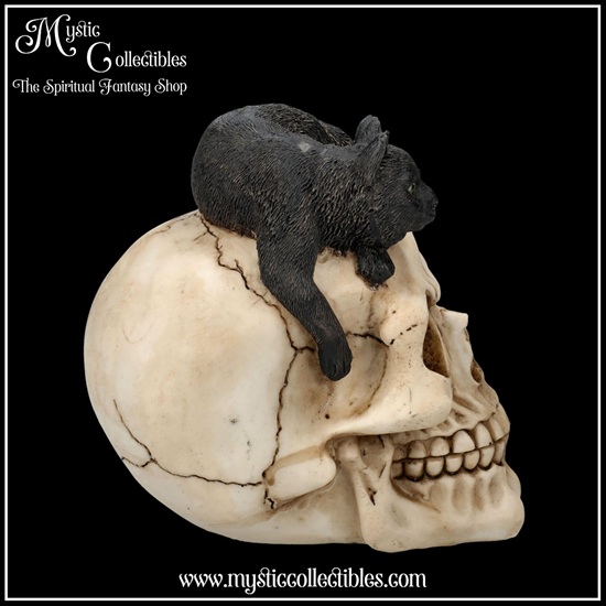 sk-sch072-4-skull-figurine-forever-friend