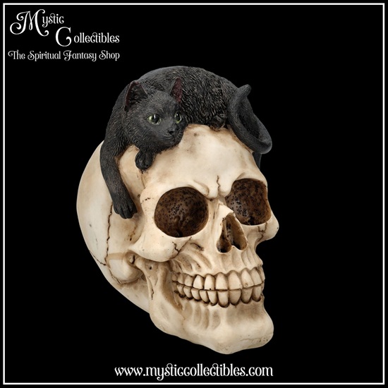 sk-sch072-5-skull-figurine-forever-friend