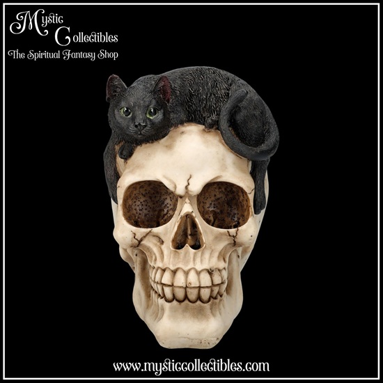 sk-sch072-6-skull-figurine-forever-friend
