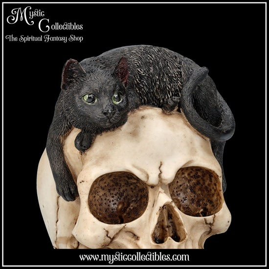 sk-sch072-7-skull-figurine-forever-friend