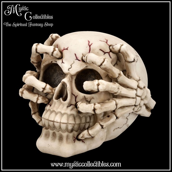 sk-sch078-1-skull-figurine-cracked