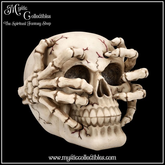 sk-sch078-5-skull-figurine-cracked
