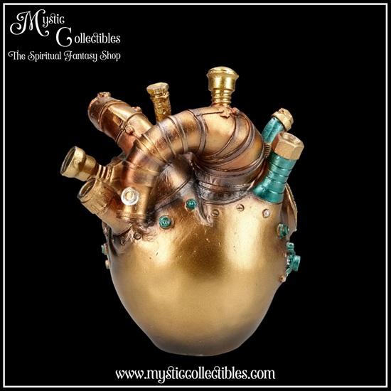 sk-sch091-3-skull-figurine-cardiac-cranium