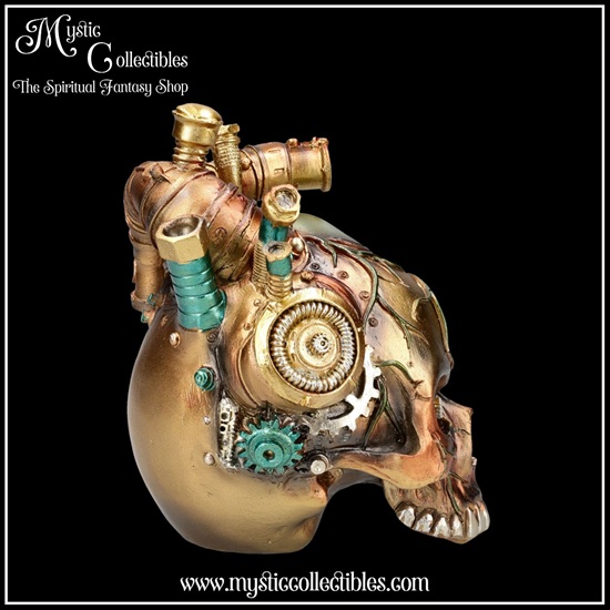 sk-sch091-4-skull-figurine-cardiac-cranium