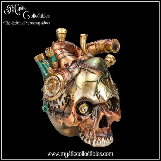sk-sch091-5-skull-figurine-cardiac-cranium