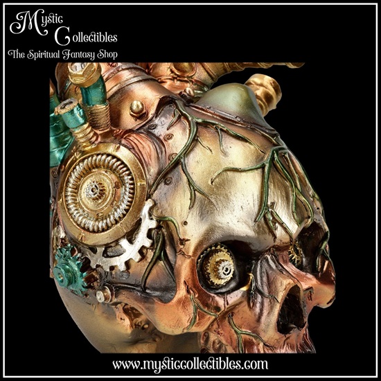 sk-sch091-7-skull-figurine-cardiac-cranium