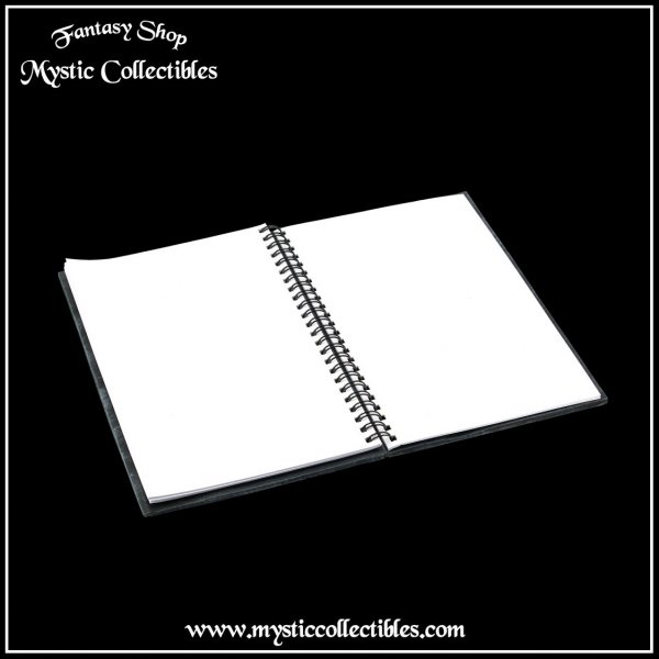 bos-nb029-6-notebook-ivy-book-of-shadows