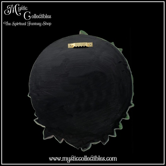 ts-wa008-5-wall-decoration-fern