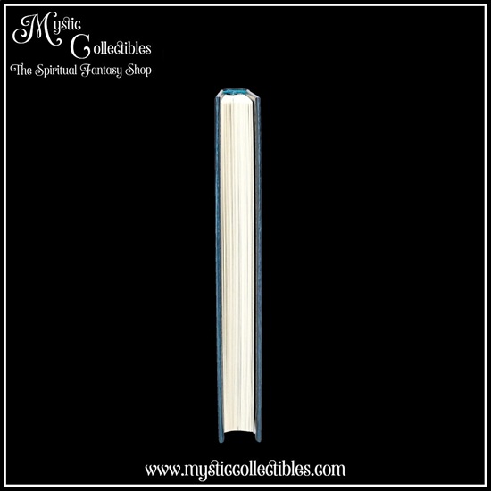 tl-nb002-3-notebook-dream-book