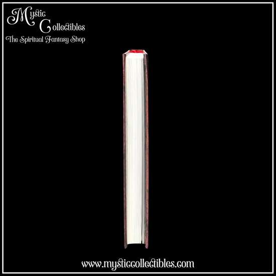 wi-nb005-3-notebook-spells-red