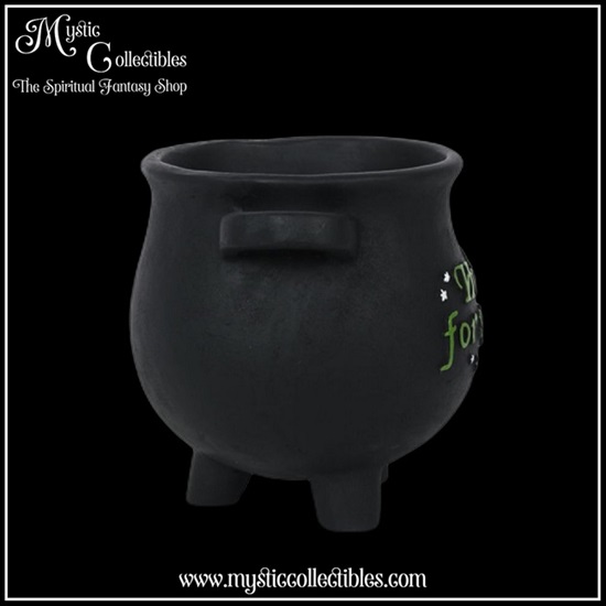 wi-gd001-7-plant-pot-herbs-for-spells-cauldron-lar