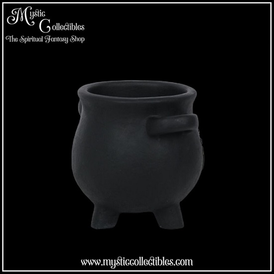 wi-gd002-6-plant-pot-herbs-for-spells-cauldron-sma