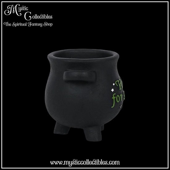 wi-gd002-7-plant-pot-herbs-for-spells-cauldron-sma