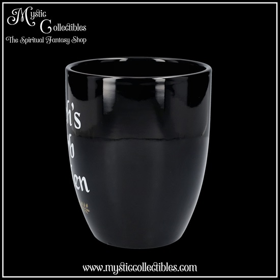 wi-gd003-3-plant-pot-witch-s-herb-garden